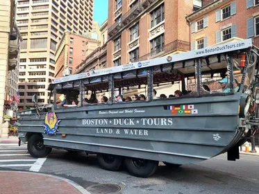 Things to Do in Boston on the Water: Ferries, Whale Watches, Paddling and Sailing