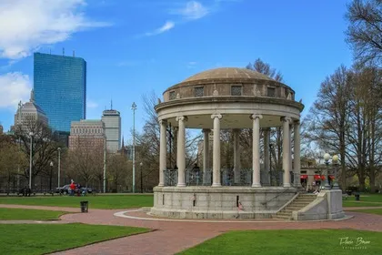 Duckling Day on Boston Common