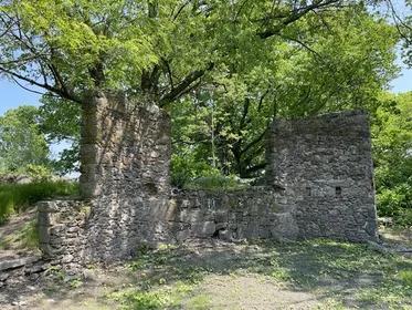 Cabin in the Sky: Ife Franklin in Franklin Park