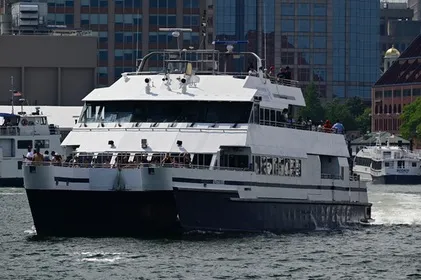 Whale Watching in Boston: Season, the Aquarium Cruise and What You Will See