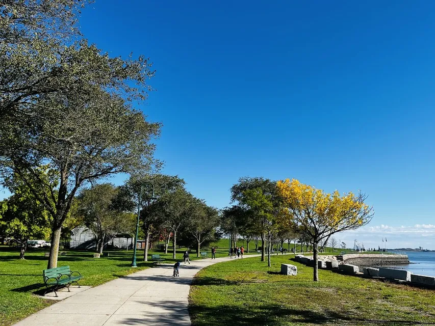 Sunny Castle Island park path with trees starting to turn yellow