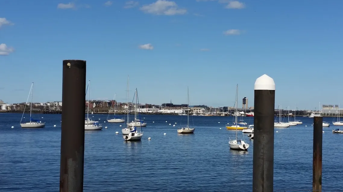 Sailboats moored on calm blue water in Boston Harbor